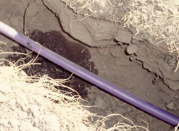 Drip Distribution OnSite Sewage Facilities (OSSF)